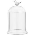 thumbnail image 2 of Arch Shape Bird Pattern Glass Cloche Dome Cover Terrarium for Eternal Flower Plant Kits Display 4x6.5inch, 2 of 9