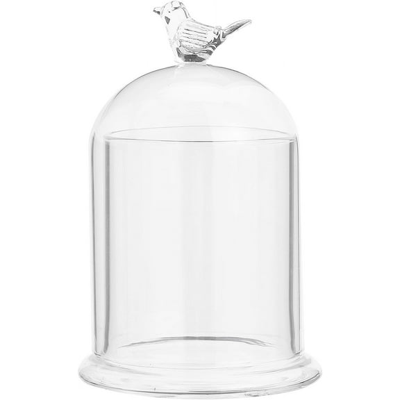 Arch Shape Bird Pattern Glass Cloche Dome Cover Terrarium with Glass Base Decorative Display Case for Candle Holder Eternal Flower Plant Garage Kits Display 4x6.5inch for diy