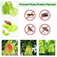 thumbnail image 3 of Paquete de 60 bolsas protectoras de frutas, 20 x 30 cm, bolsas protectoras para uvas, con cordón, bolsas de organza para jardín contra avispas, drosophila, escarabajos (verde musgo), 3 of 5