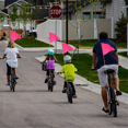thumbnail image 5 of Bike Flag with Pole Reflective Bike Trailer Flag with Bicycle Mounting Bracket Bicycle Flag Pink, 5 of 5
