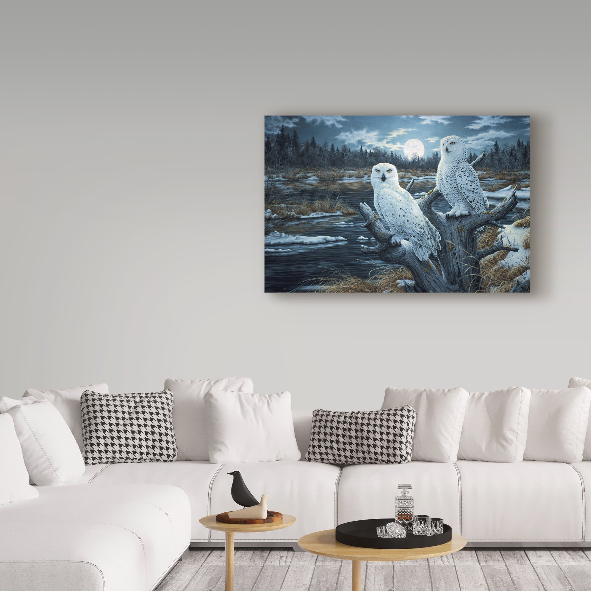 Trademark Fine Art 'Snowy Owls' Canvas Art by Jeff Tift