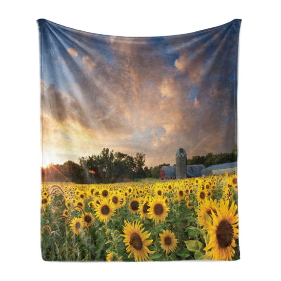 Minnesota Soft Flannel Fleece Throw Blanket, Field of Yellow Sunflowers in a Minnesota Farmland Below a Dramatic Sunset Sky, Cozy Plush for Indoor and Outdoor Use, 50" x 60", Multicolor, by Ambesonne