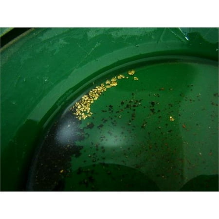 Make Your Own Gold Bars 1 Lb Bag of Gold Paydirt 1 lbs Yukon Gold Panning Paydirt Sluice It, Pan It, Get Good Gold