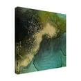 thumbnail image 2 of Victoria Borges 'Emerald Topo I' Canvas Art, 2 of 3