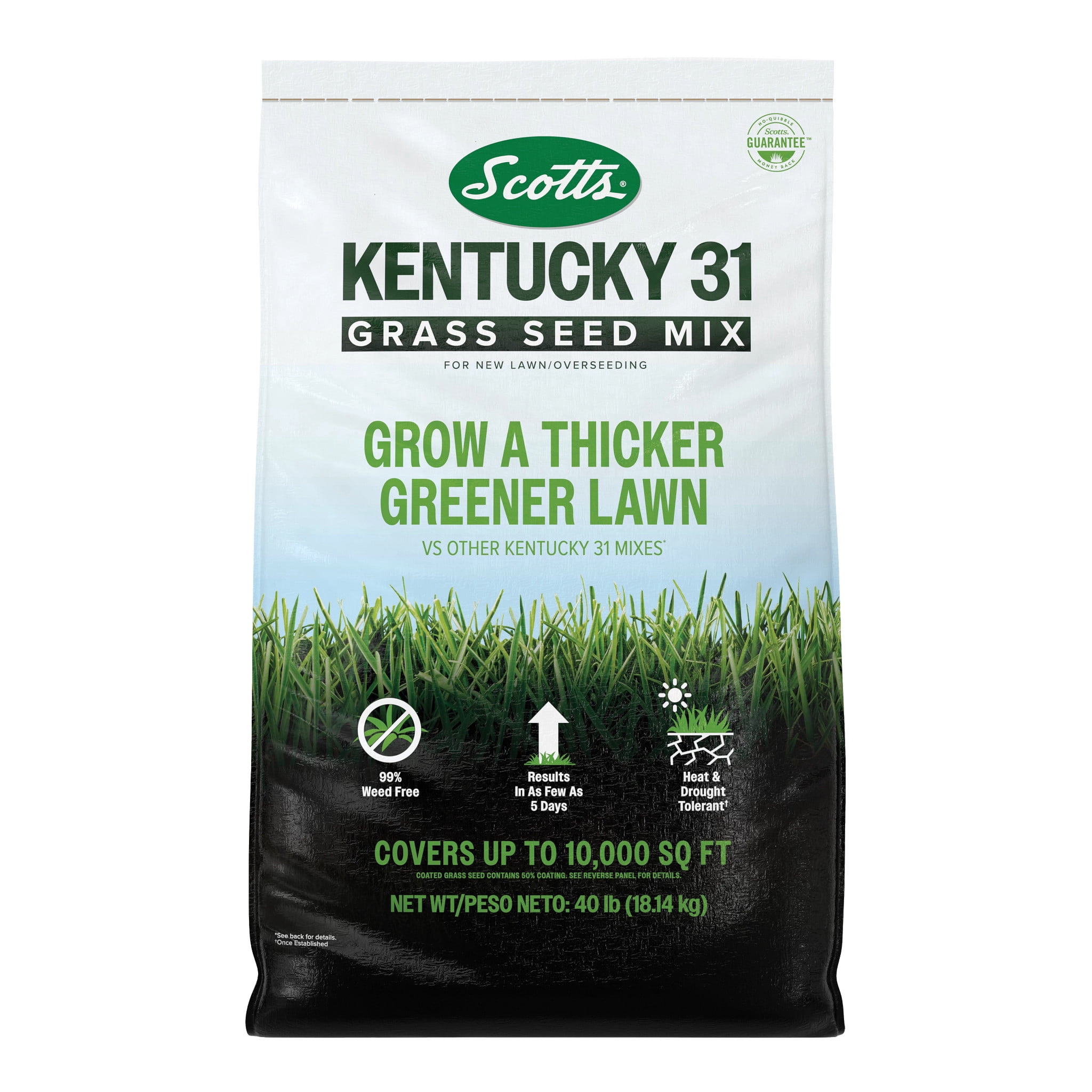 Scotts® Kentucky 31 Grass Seed Mix, For New Lawns or Overseeding, 40 lbs.