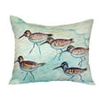 thumbnail image 3 of Betsy Drake Interiors Sandpipers No Cord Pillow 16x20, 3 of 3