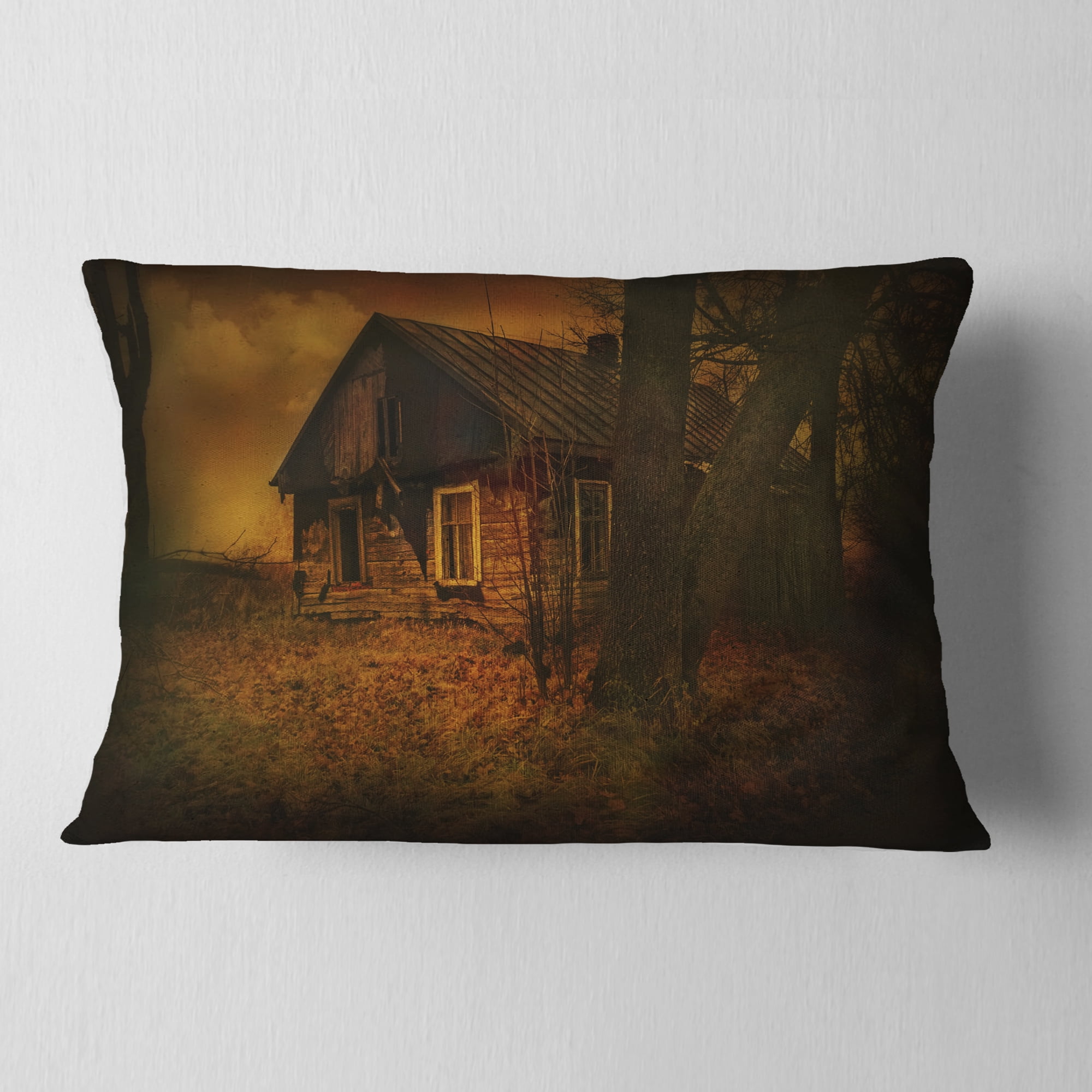 Designart Old House Landscape - Photography Throw Pillow - 12x20