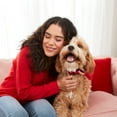thumbnail image 6 of (Pack of 6) Milk-Bone Sweetheart Snacks Mini’s Dog Treats, 25 oz. Canister, 6 of 8