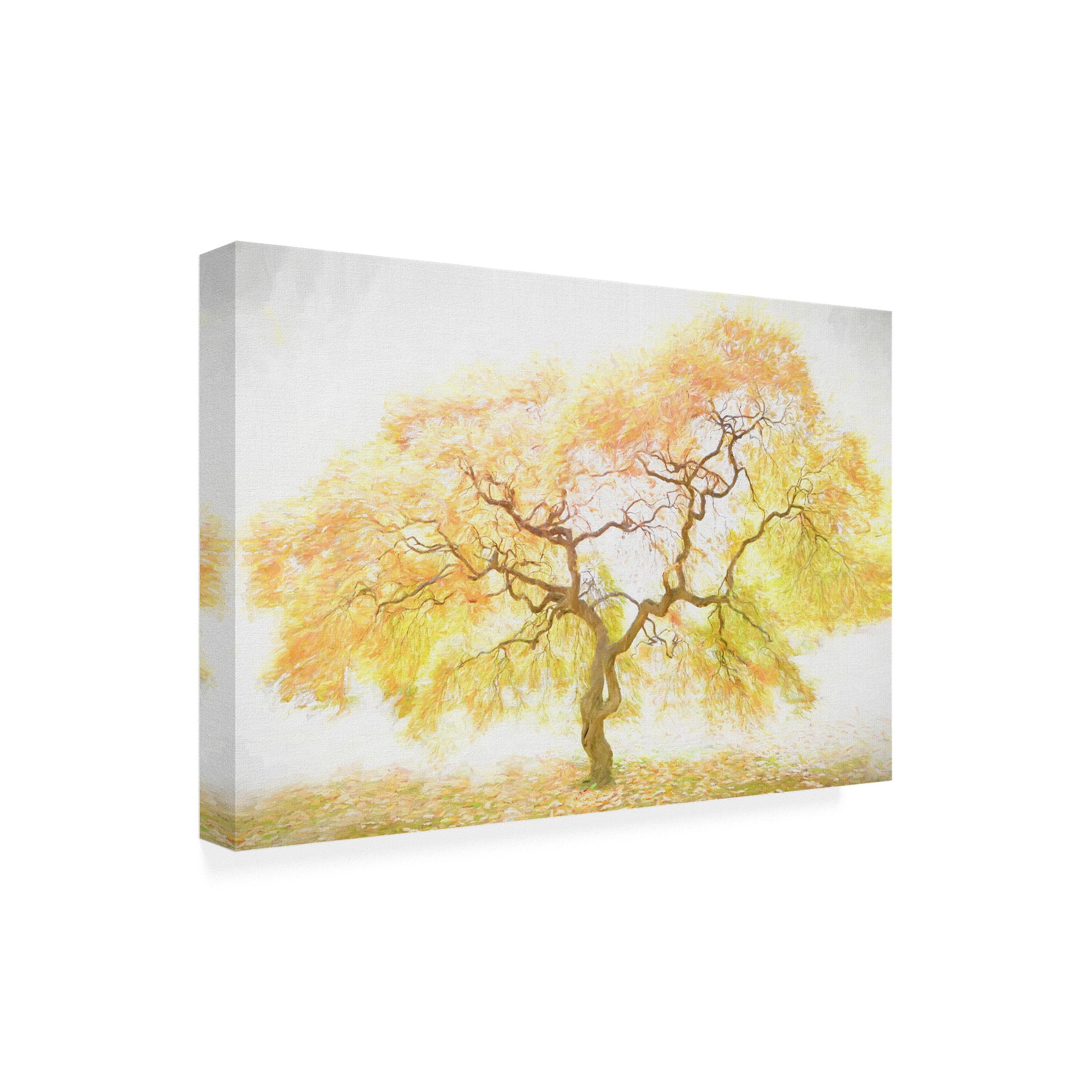 Trademark Fine Art 'Golden Tree Yellow' Canvas Art by PHBurchett