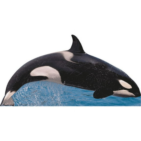 SP13134 Killer Whale Free Jump Wide Cardboard Cutout Standee Standup