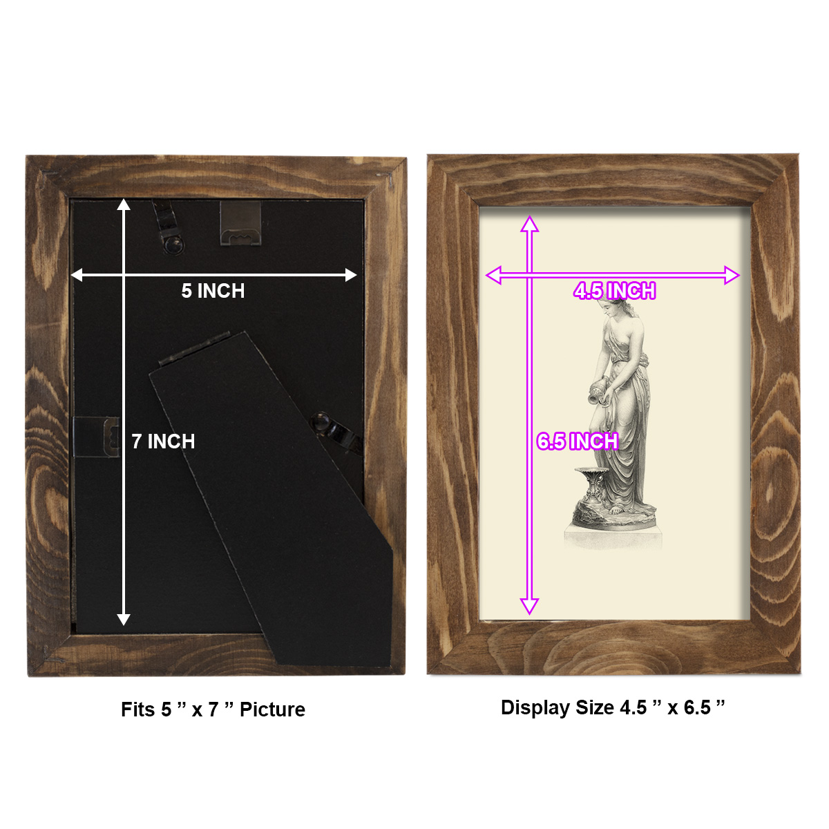 Classical Statuary II -Framed Print w/glass-Walnut