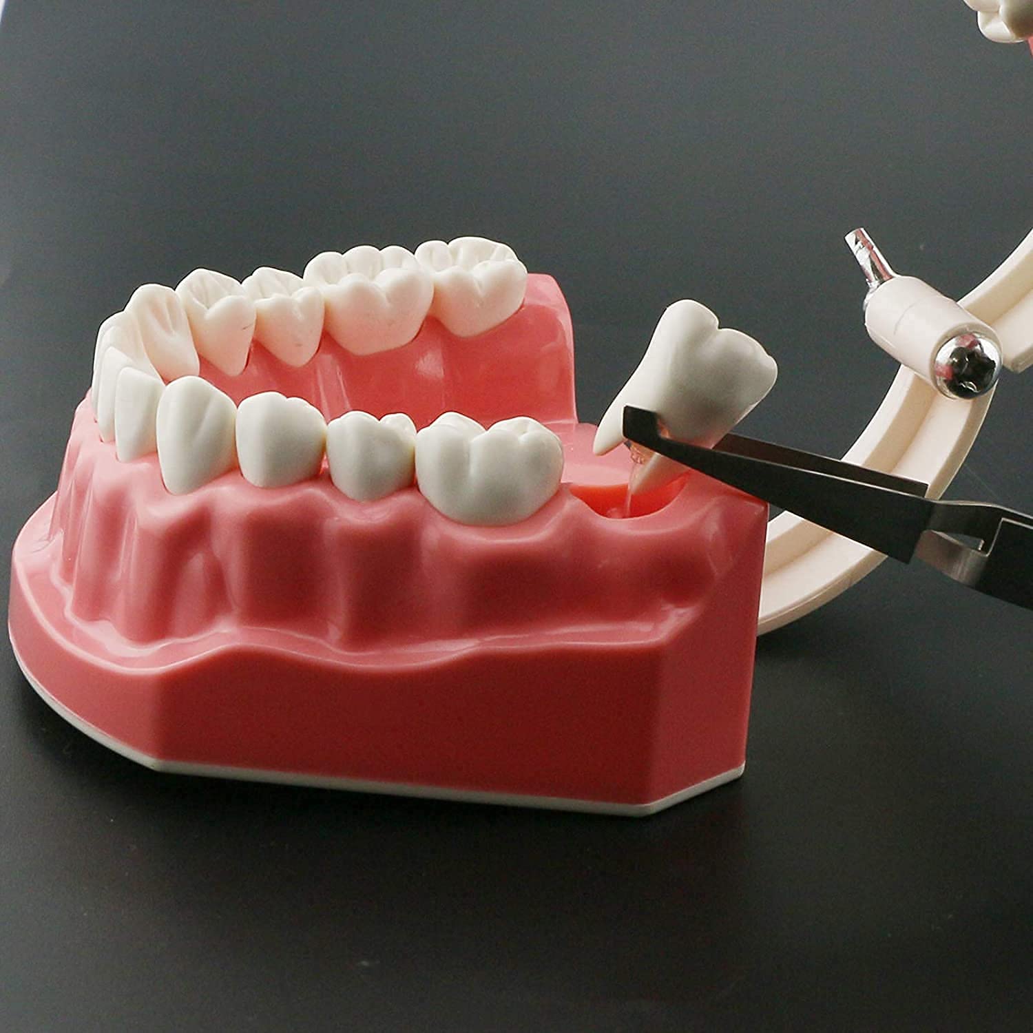 4ccfcad8-27e8-49c7-a095-7b531370206a.1368628485490143cb58edd9539643b3.jpeg?odnHeight=117u0026odnWidth=117u0026odnBg=FFFFFF