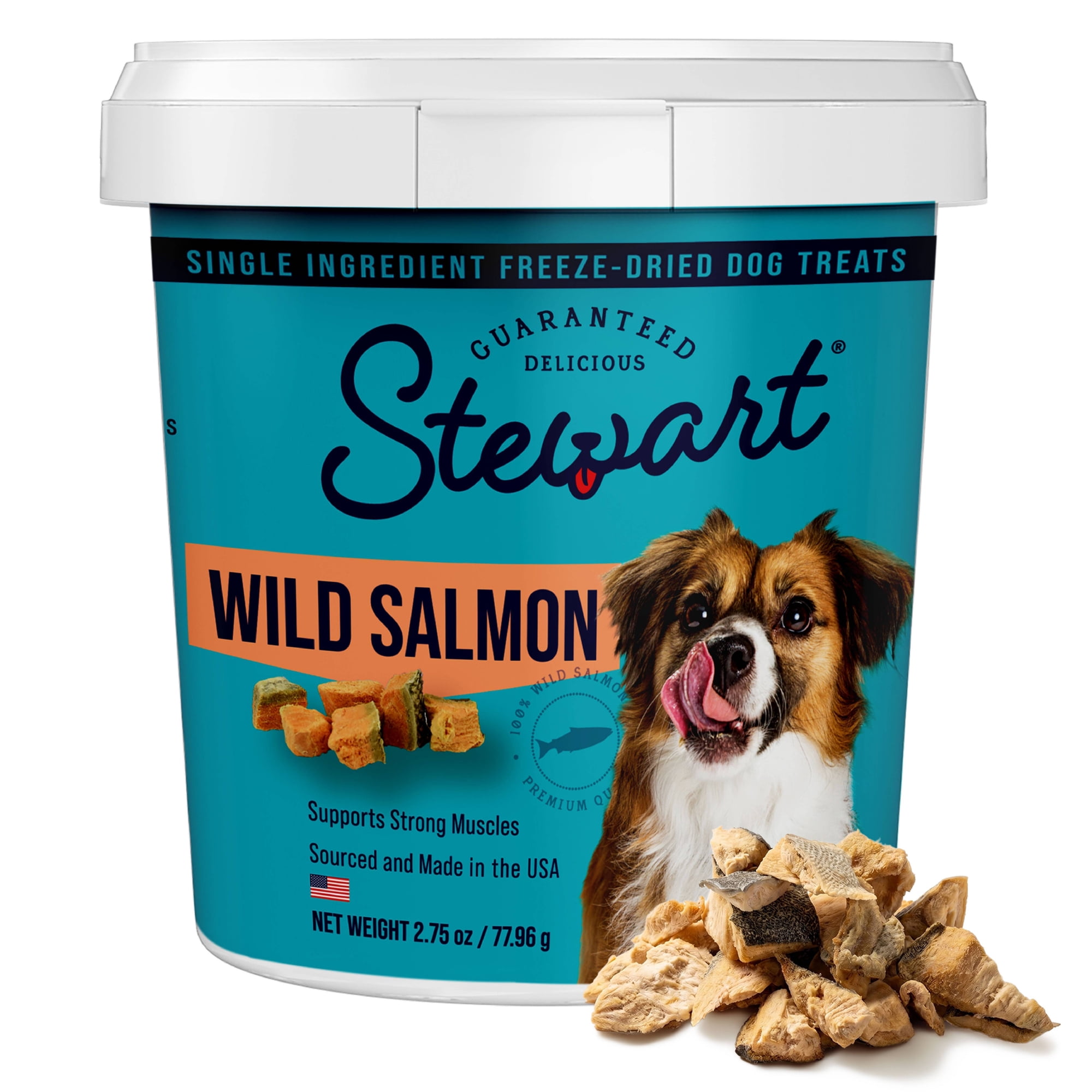 Stewart Freeze Dried Raw Salmon Training Treats or Meal Topper for Dogs, 2.75 oz Tub