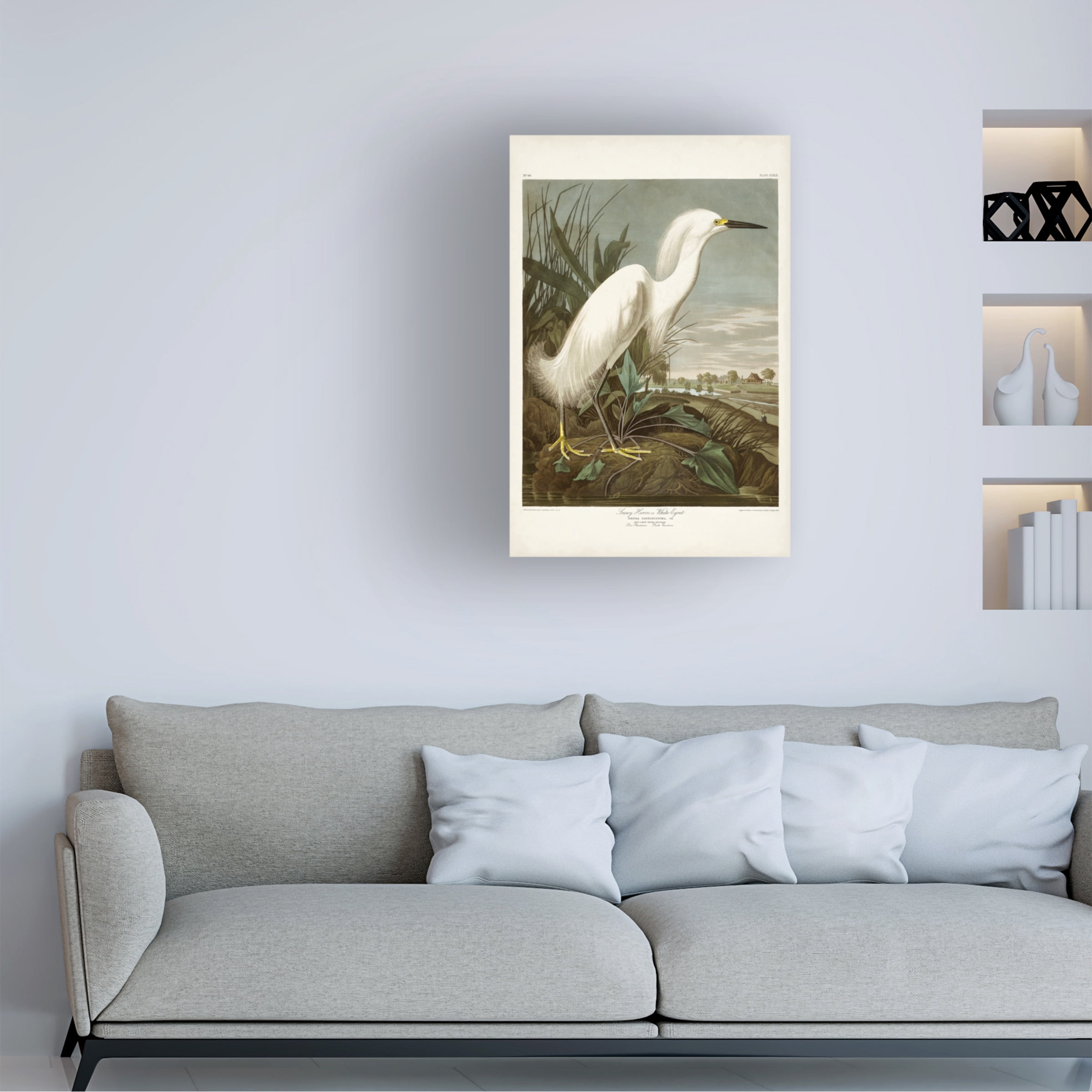John James Audubon 'Snowy Heron' Canvas Art