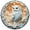 White4, variant on TIELUTT Luna Owl Puzzle 3D Bird Puzzles White Owls Art Puzzles Unique Home Challenging for Yesteryear Pct Cayman 730 Hokusai