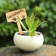 thumbnail image 5 of 50 Pieces Plant Tags Home Garden Vegetables Flowers Seeds Labels Plant Name Marking Labeling Tags, JM01974, 5 of 8