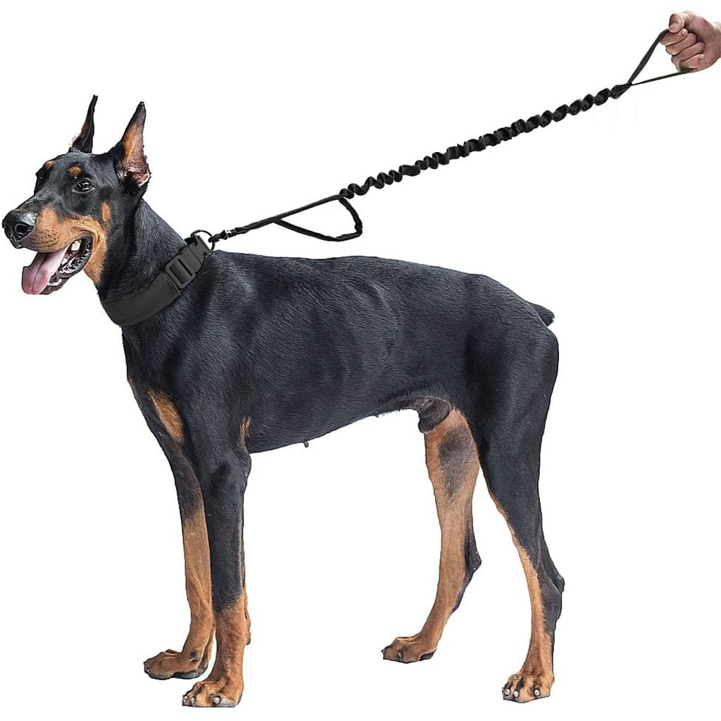 dog lead walmart
