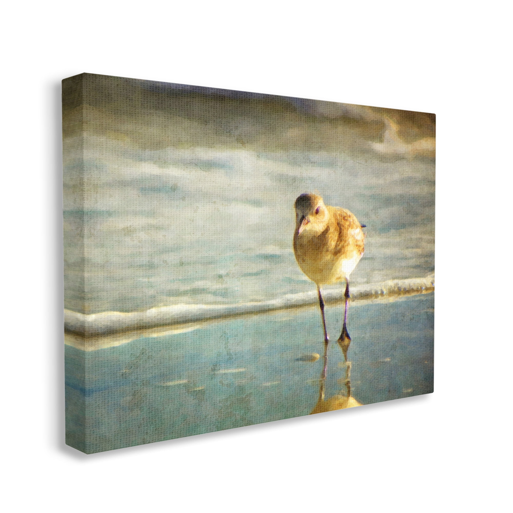 Stupell Industries Stepping Sandpiper at Shore Animals & Insects Photography Gallery Wrapped Canvas Art Print Wall Art, 48 x 36