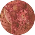 thumbnail image 1 of Ahgly Company Tapis d'Intérieur Lavables en Machine, Ronds, Transitionnels, Orange Vif, Ronds de 6 Pi, 1 of 7