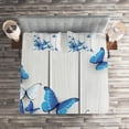 thumbnail image 2 of Ambesonne Blue Quilted Coverlet 3 Pcs, Insect Wooden Timber, Queen Size, Grey White Blue, 2 of 2