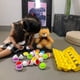 thumbnail image 4 of Labymos Juguetes educativos para niños, huevo a, 4 of 6