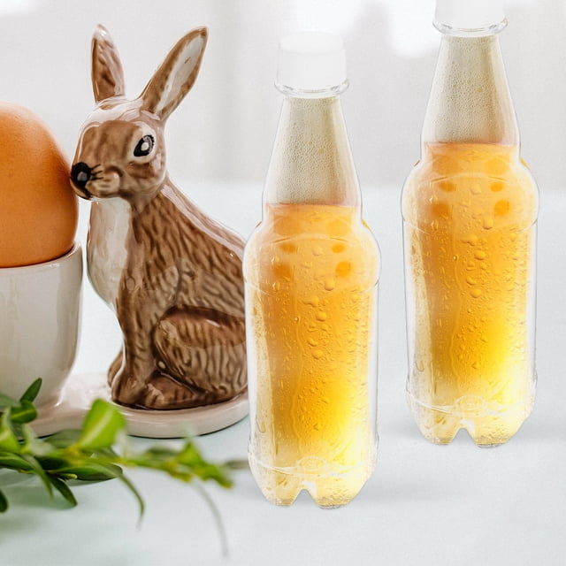 HAMPPLIES 6 Pcs Bouteilles de Jus Transparentes Bouteilles Réutilisables pour Jus Rangement de Boissons pour la Famille