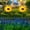 Single-head ×2, variant on 2 Pack Sunflower Solar Lights Outdoor | Garden Pathway & Yard Decor | 3-Head Flower Lights with Adjustable Stems | Waterproof IP65 | Automatic On/Off for Patio & Backyard