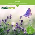 thumbnail image 3 of Suplemento Naturalma Oats (Avena Sativa) Tops Tincture 120 ml, 3 of 8