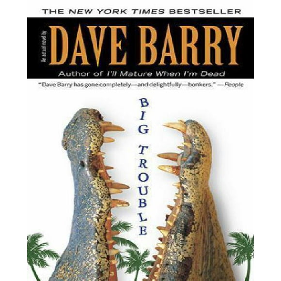 Gros Problèmes par Barry, Dave