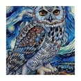 thumbnail image 4 of Acheng Owl Branch Starry Night Square Table Cover 100% Polyester Fiber 46*46, 4 of 8