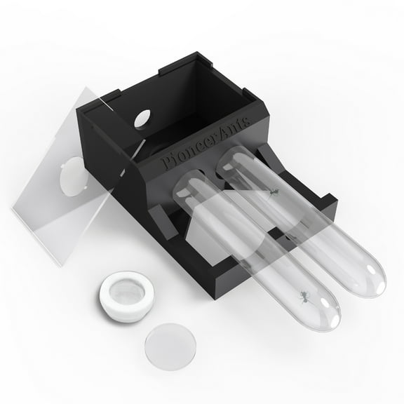 Expandable Ant Farm with Live Queen Ant Compatibility