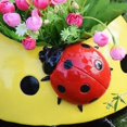 thumbnail image 2 of Pot de Fleurs en Résine Ladybug, Mini Pot Mignon pour Décoration Intérieure Ou Extérieure, 2 of 6
