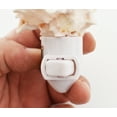 thumbnail image 2 of Seashell Night Light Real Pink Murex Shell Beach Decor w. on/off switch Beautiful Coastal Cottage, 2 of 3