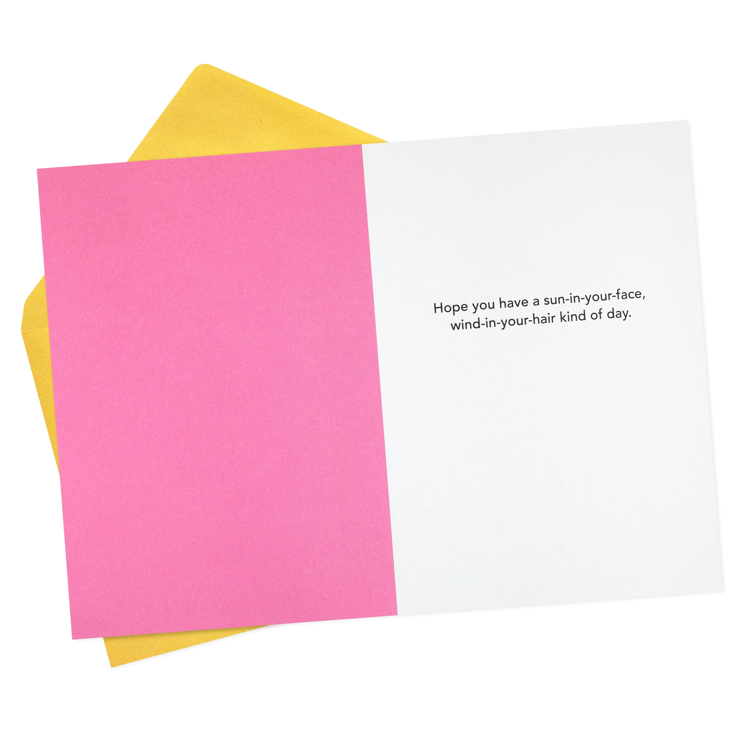 Hallmark Shoebox Funny Birthday Greeting Card for Her (Two Dogs in a Convertible)