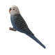 thumbnail image 1 of Figuras de AVES PLÁSTICAS Sunnimix 11 Loro Micro Landscape Ornament, 1 of 7