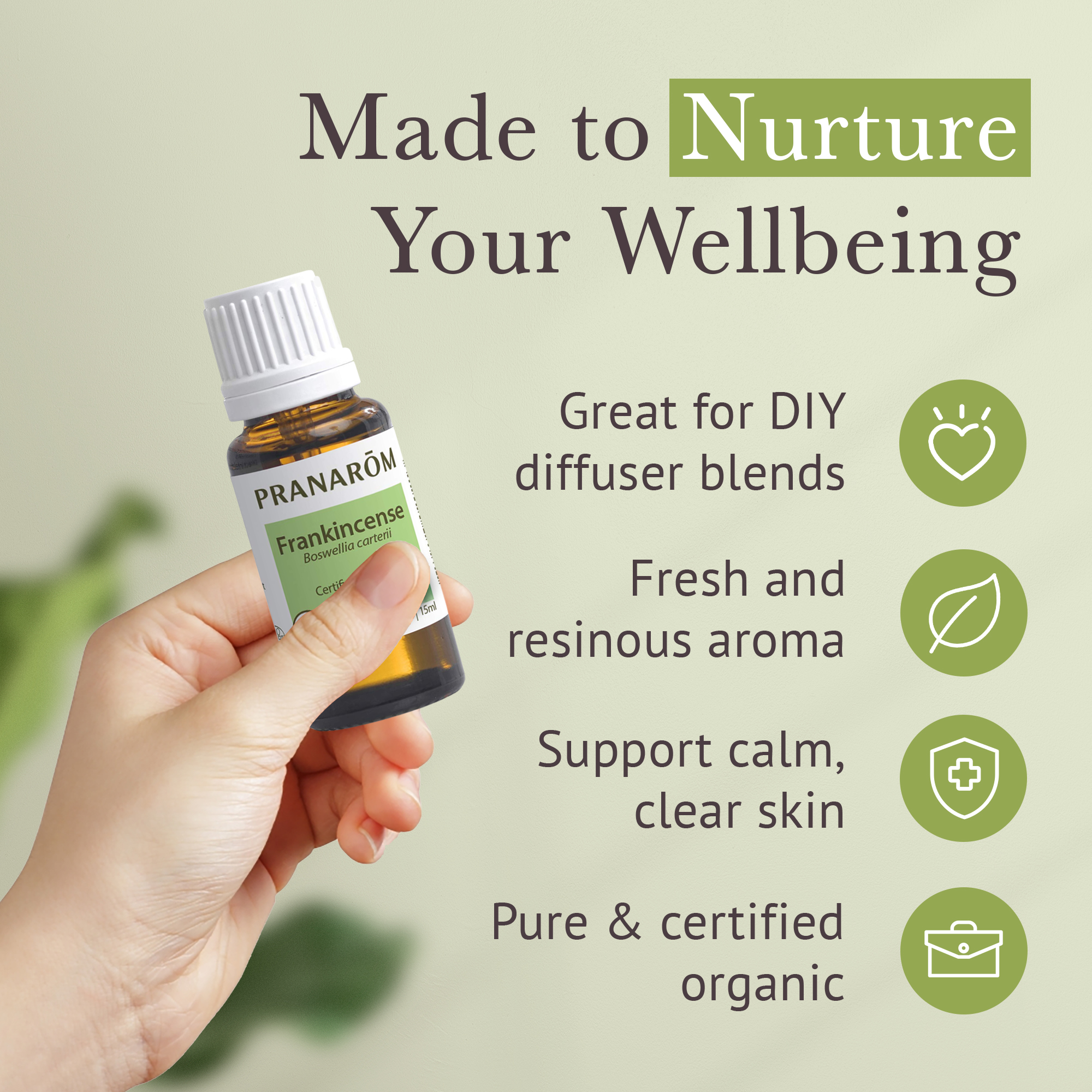 Pranarom Usda Organic Frankincense Essential Oil 15ml - 100% Pure Therapeutic Grade to Boost Relaxation & Meditation