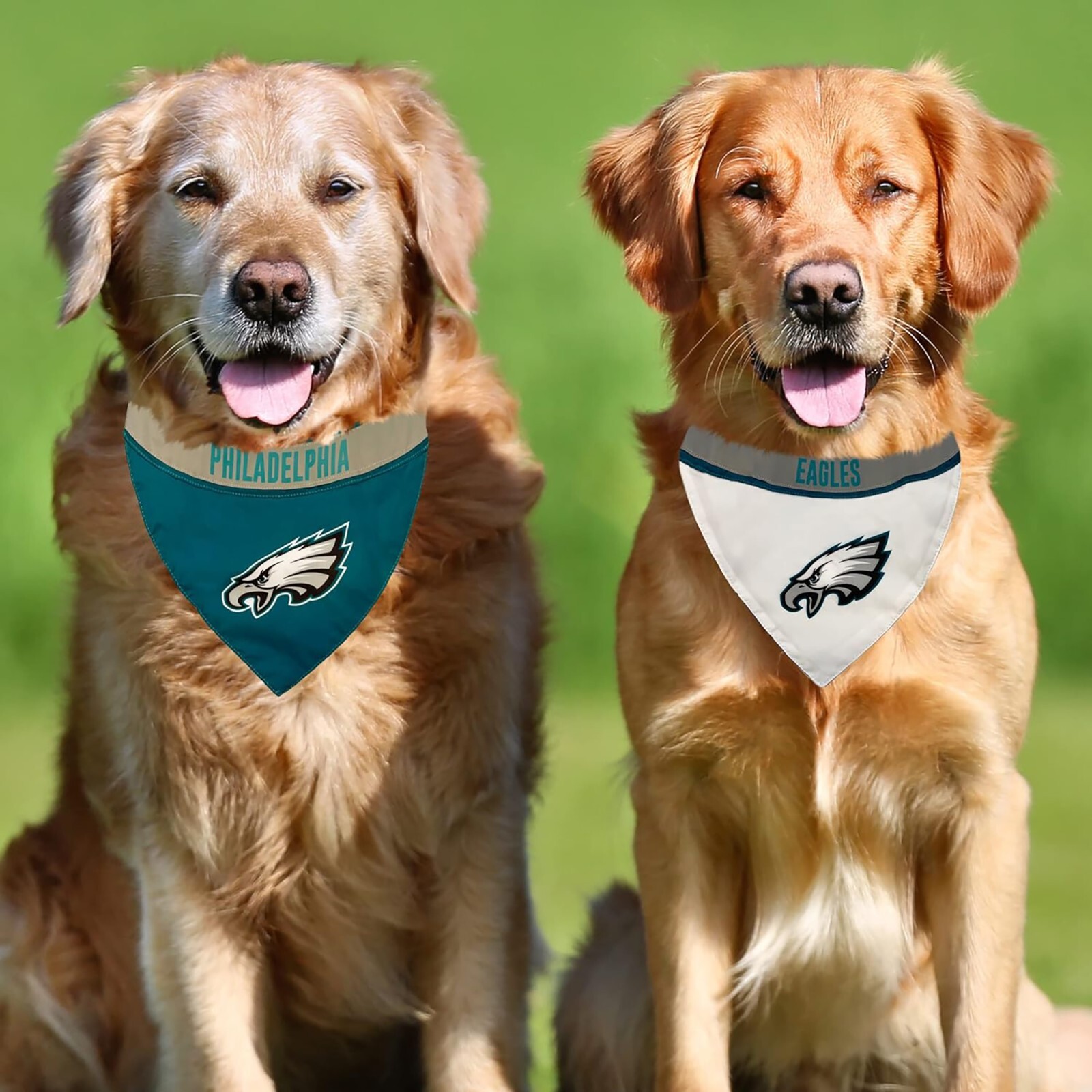 Pets First #1 NFL Party Bandana, Reflective Dog Bandana & Cat Bandana