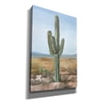 thumbnail image 2 of Epic Graffiti 'Saguaro Cactus Study 1' by Ethan Harper Canvas Wall Art, 40" x 60", 2 of 8