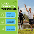 thumbnail image 6 of Immune System Support Supplement - Daily Defense Formula with Vitamin C, D3, Zinc, Elderberry, Quercetin, Echinacea, Turmeric, Ginger, Garlic for Year Round Health Support, 6 of 15