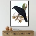 thumbnail image 2 of Designart 'Ancient Australian Birds VI' Traditional Framed Canvas Wall Art Print, 2 of 5