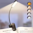 thumbnail image 1 of Luz de lectura Glocusent de 20 LED recargable con clip, 1 of 7