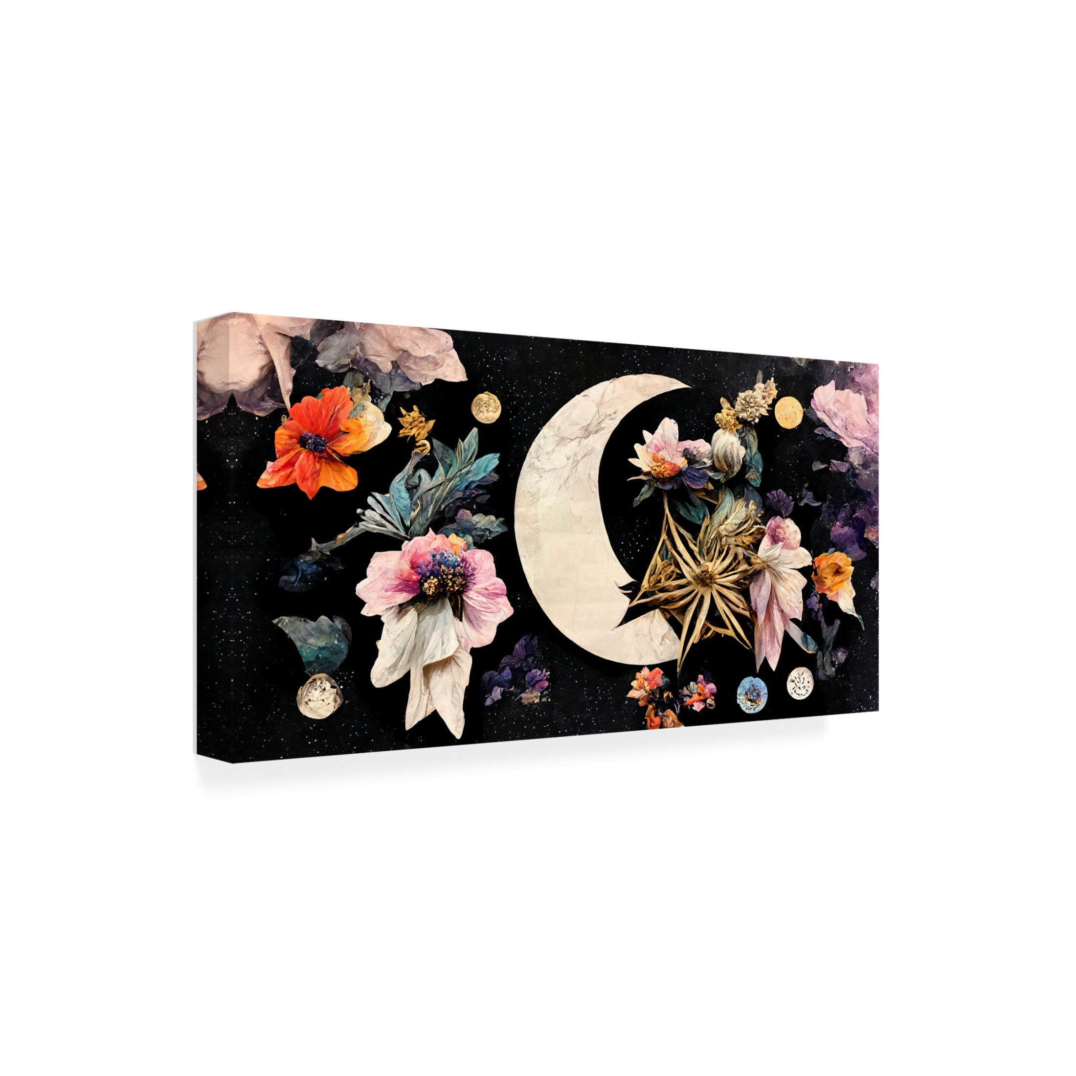 Canvas Wall Art - Treechild 'Dream Moon' Wall Art for Living Room, Bedroom, or Office D?cor by Trademark Fine Art - 47 x 24 Inches