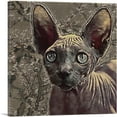 thumbnail image 1 of ARTCANVAS Sphynx Cat Breed Canvas Art Print - Size: 36" x 36" (1.50" Deep), 1 of 9