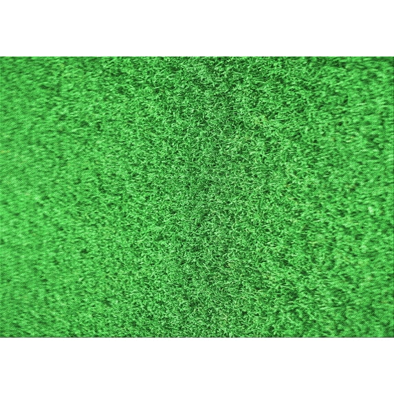 Ahgly Company Indoor Rectangle Patterned Green Area Rugs, 8' x 10'