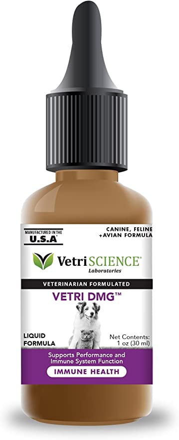 n n-dimethylglycine dmg for dogs n n-dimethylglycine dmg for dogs