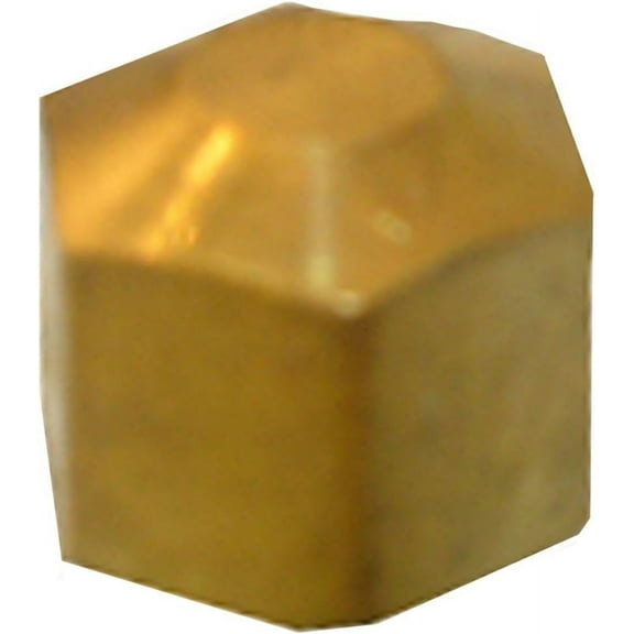 LASCO 17-6183 5/16-Inch Compression Brass Cap