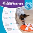 thumbnail image 6 of Outward Hound by Nina Ottosson Dog Smart Treat Puzzle Enrichment Toy, Level 1 Beginner, Orange, 6 of 11
