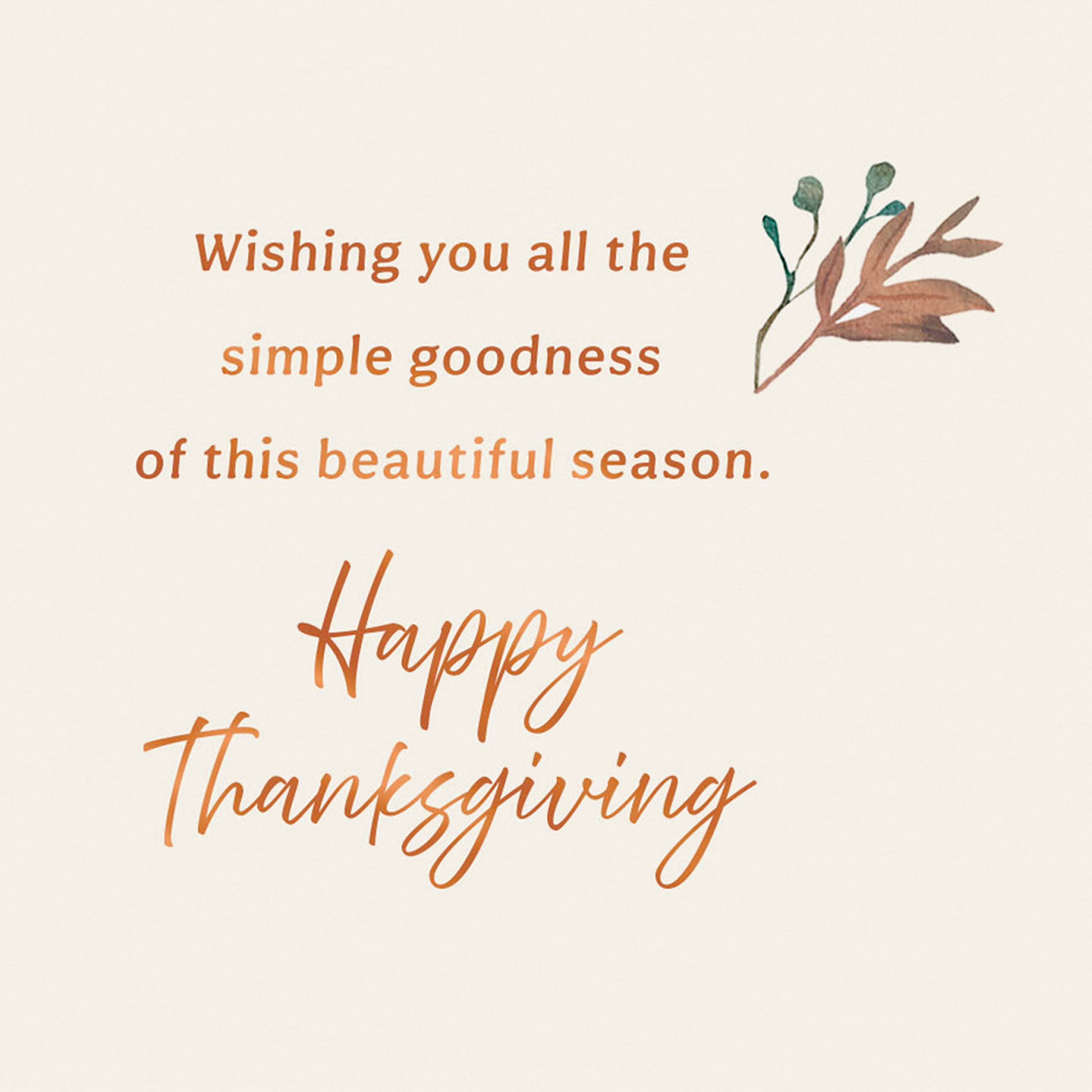 Hallmark Thanksgiving Card (Wishing the Goodness of the Season), 1 Count