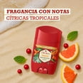 thumbnail image 5 of Desodorante en Barra Old Spice para hombre Paradise 50 g, 5 of 5
