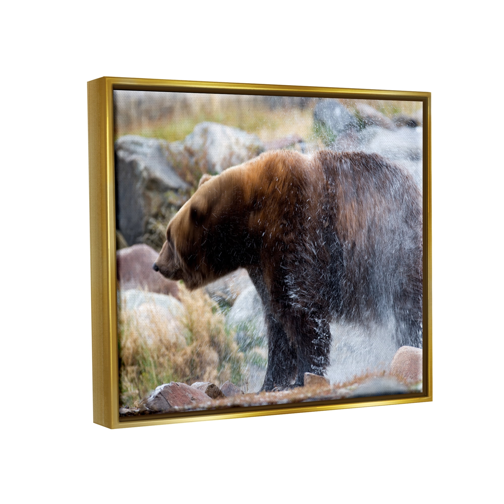 Stupell Industries Bear Bathing In Stream Photography Animals & Insects Photography Gold Floater Framed Art Print Wall Art